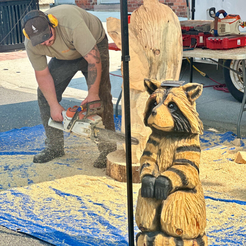 A local artist creates Wood Carvings at the 2024 Summerfest.