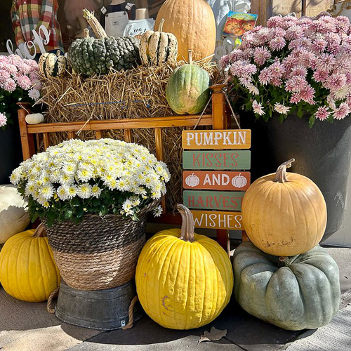 PUMPKINFEST -06